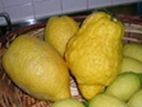 Cédrats / Citrons douces Origine Italie au kg pour caisse postale